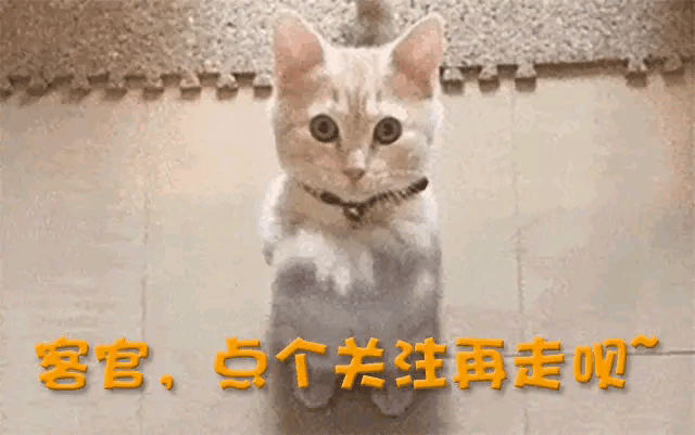 文章的时间